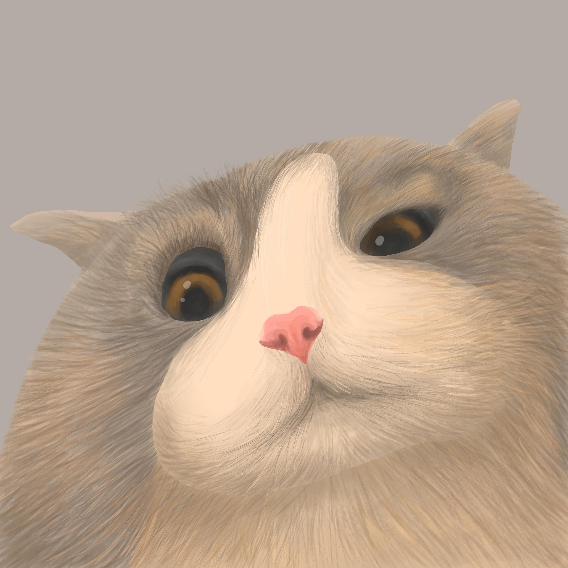 Cat Thumbnail